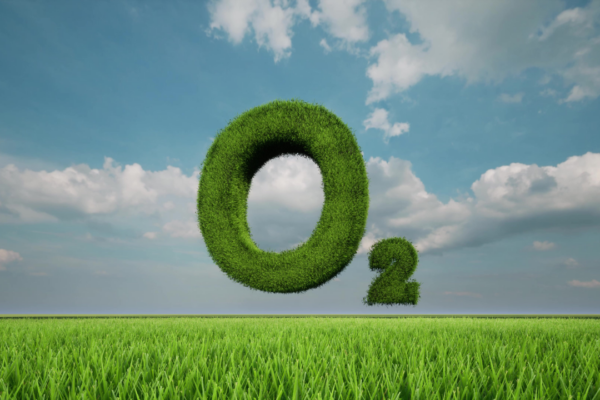 Oksigen